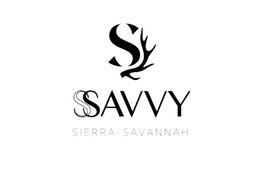 ssavvy.co